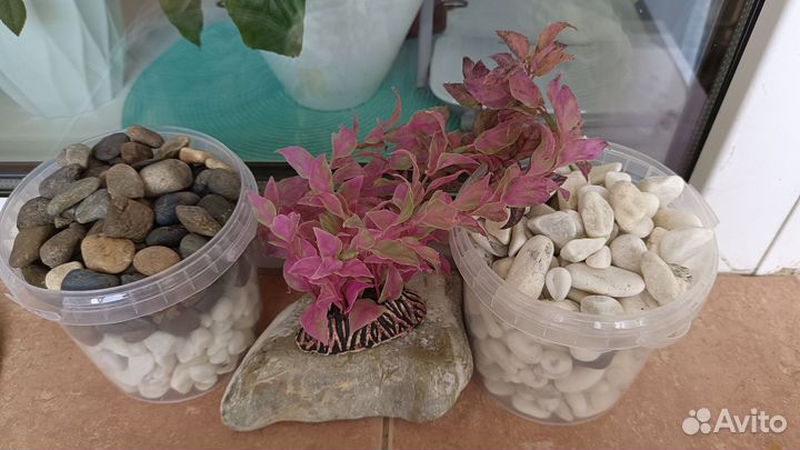 Для аквариума