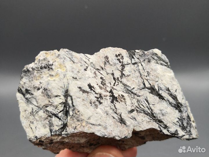 Минерал Людвигит