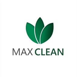 MAX CLEAN