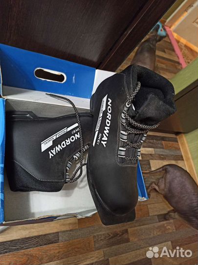 Лыжные ботинки