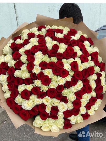 201 роза микс крым