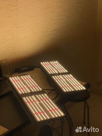 Лампа для выращивания led board