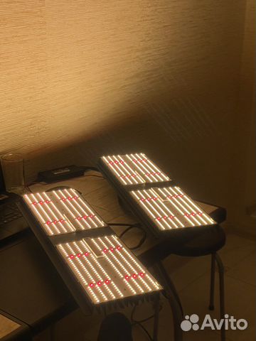 Лампа для выращивания led board