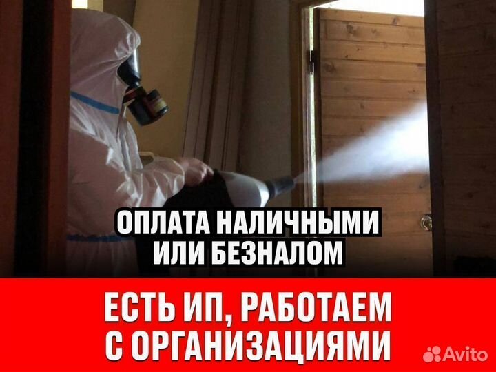 Уничтожение клопов и тараканов, дезинфекция