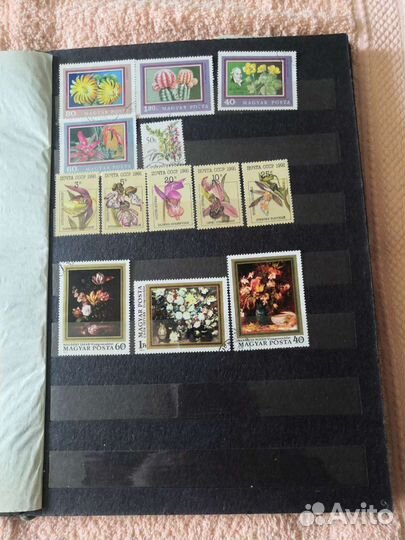 Почтовые марки. Флора