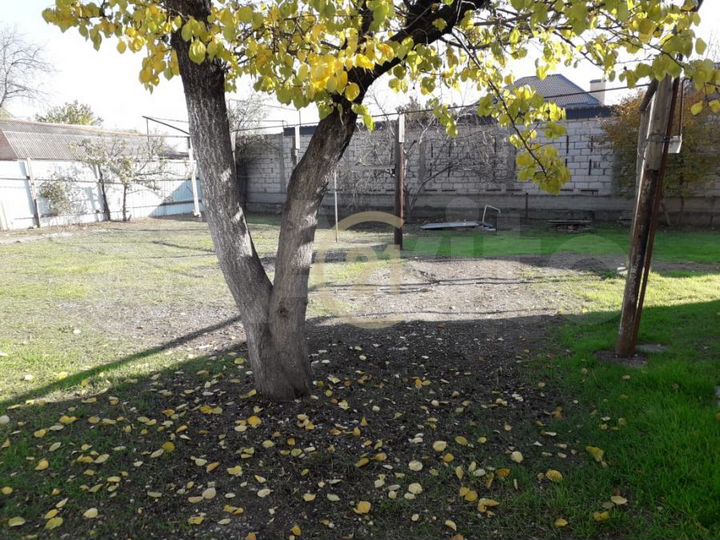 Дом 55 м² на участке 6,2 сот.