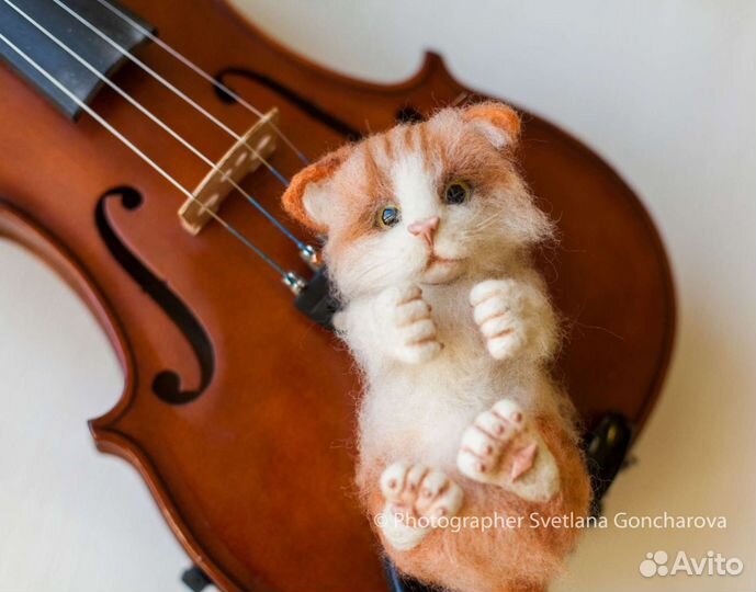 Валяные котики