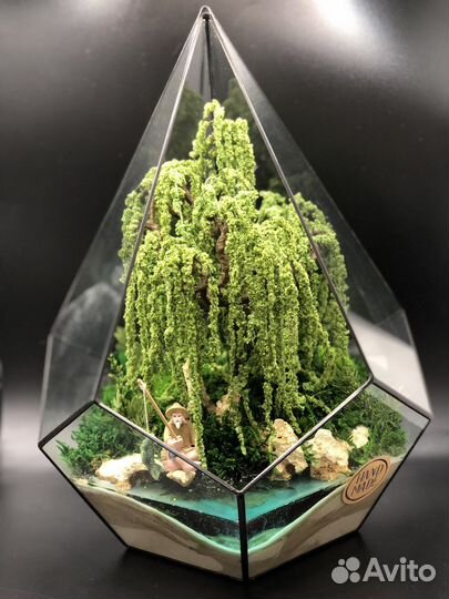 Моссариум рыбак