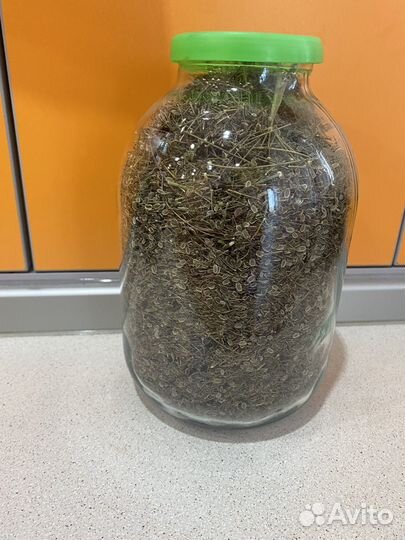 Семена укропа