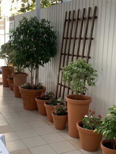 Комната 25 м², 2/4 эт.