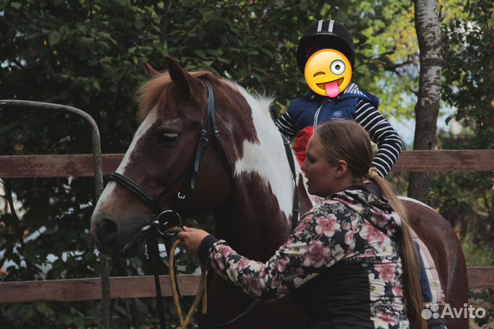 Фотосессия с лошадью и катание