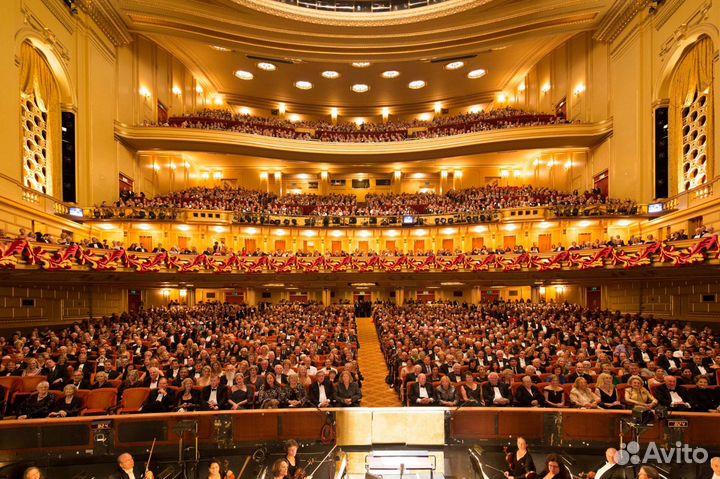 Любой театр билеты на школьные группы 1/2