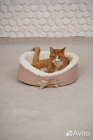 Игровой комплекс для кошки