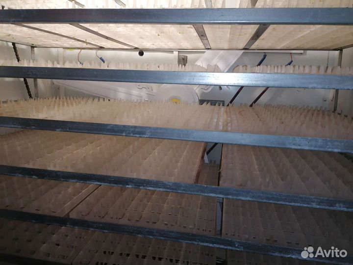 Инкубатор для яиц автоматический
