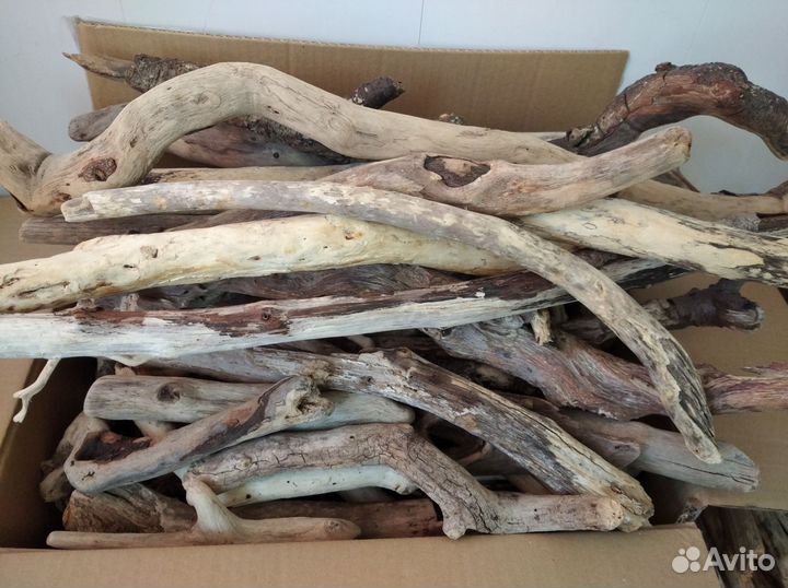 Коряги дрифтвуд