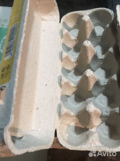 Формочки -ячейки для яиц