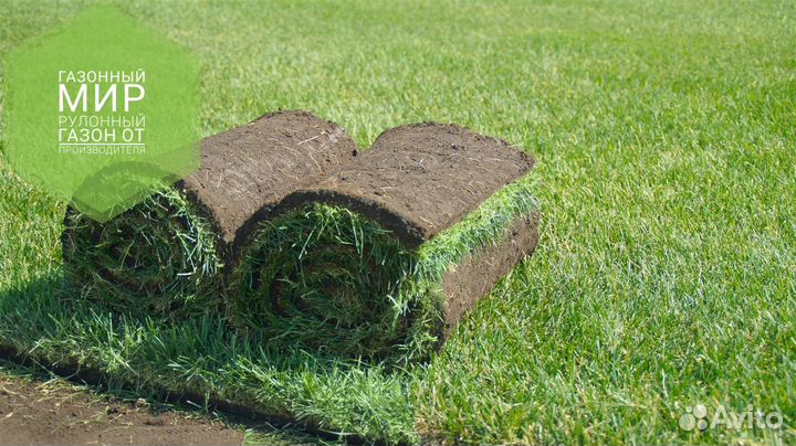 Рулонный газон