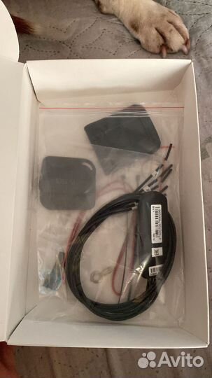 Иммобилайзер