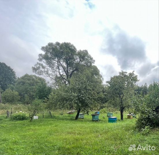 Пасека с пчелами, ульями и оборудованием