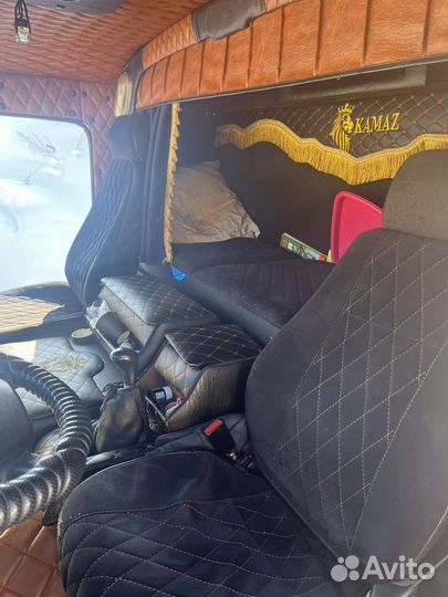 КАМАЗ 65116-N3, 2010