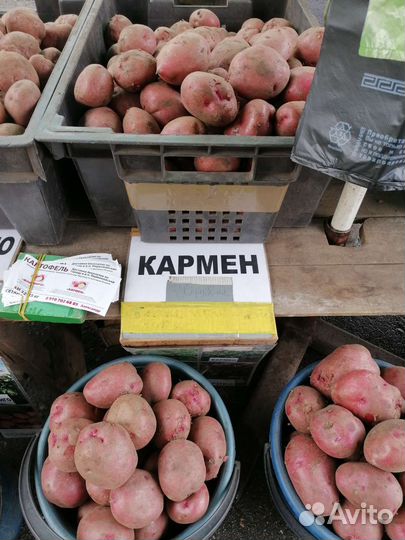 Картофель вкусный