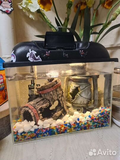 Аквариум