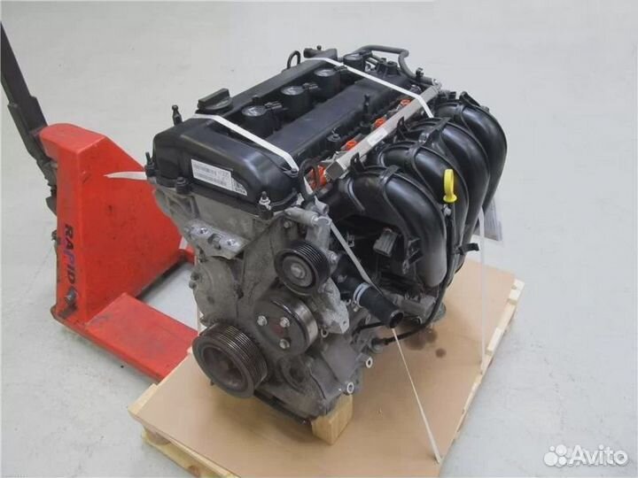 Двигатель qqdb 1.8 Ford Focus 2