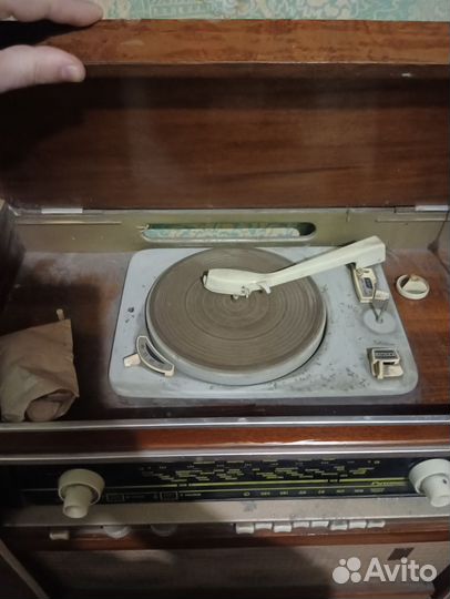 Радиола ригонда