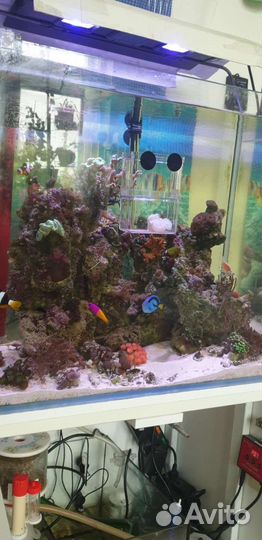 Аквариум с тумбой 180 л