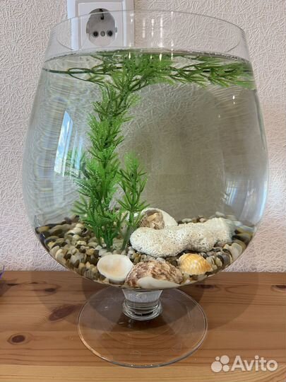Аквариум 7 литров