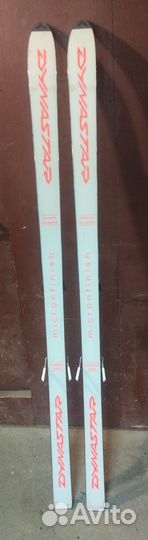 Горные лыжи