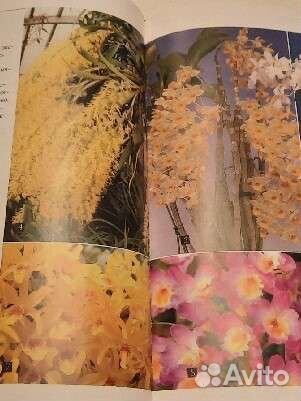 Книга А.Зайцева