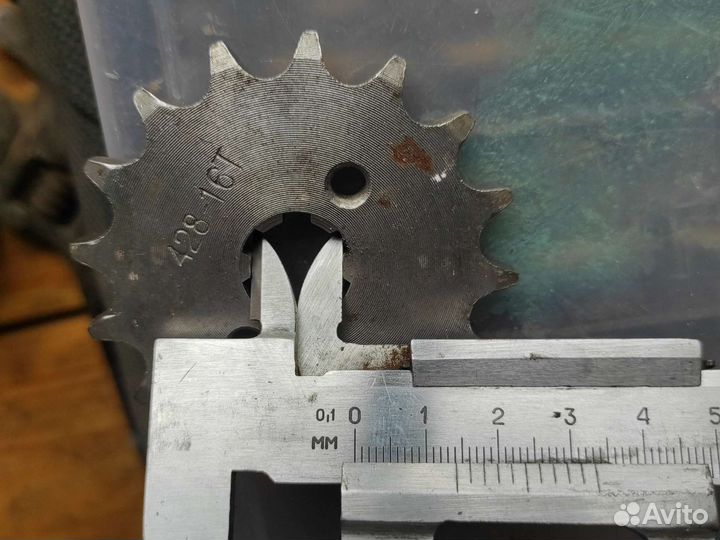 Звезда ведущая