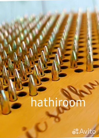 Доски садху гвозди пули. Анатомические