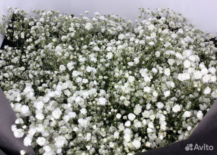 Доставка цветов букеты цветы Гипсофила