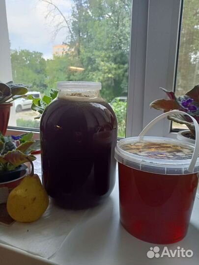 Натуральный мед 23 год качка