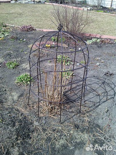 Опора для цветов - клетка для пионов, гортензий