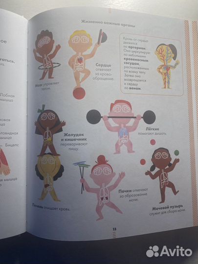 Детская энциклопедия тело человека
