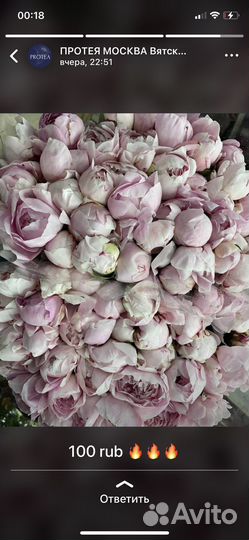 Букет Шикарных Пионов Цветы с доставкой