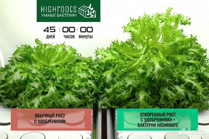 Highroots Mushroom Удобрение/Живые бактерии 5 л