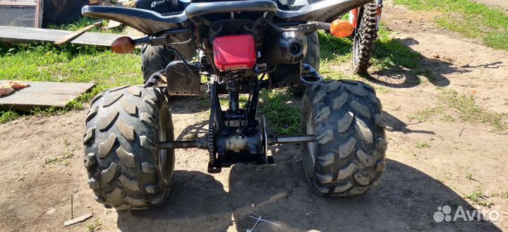 Patron scaner 250, Злой зверь, обмен