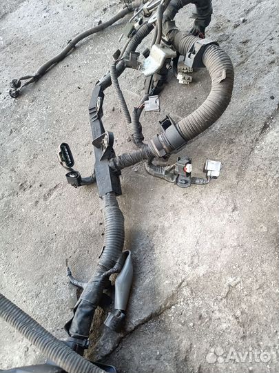 Проводка двигателя Toyota Land Cruiser 200 4.5TD