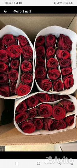 Цветы оптом