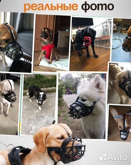 Намордник для большой собаки