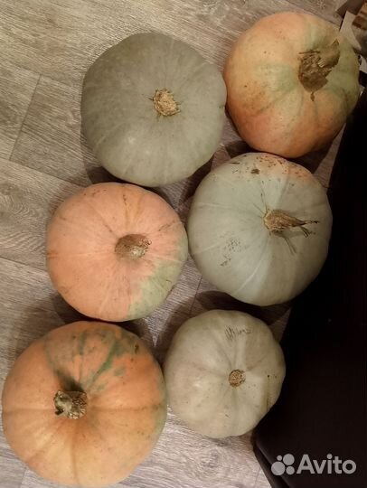 Тыква. Пастила