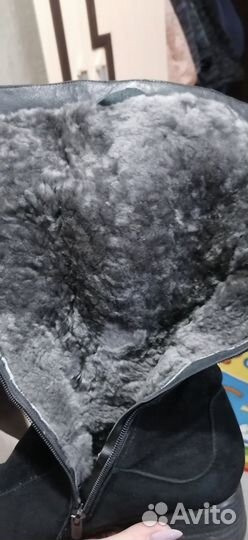 Сапоги