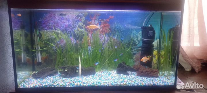 Аквариум 100л