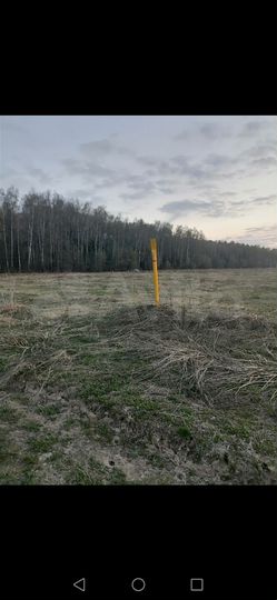 Участок 15,5 сот. (ИЖС)