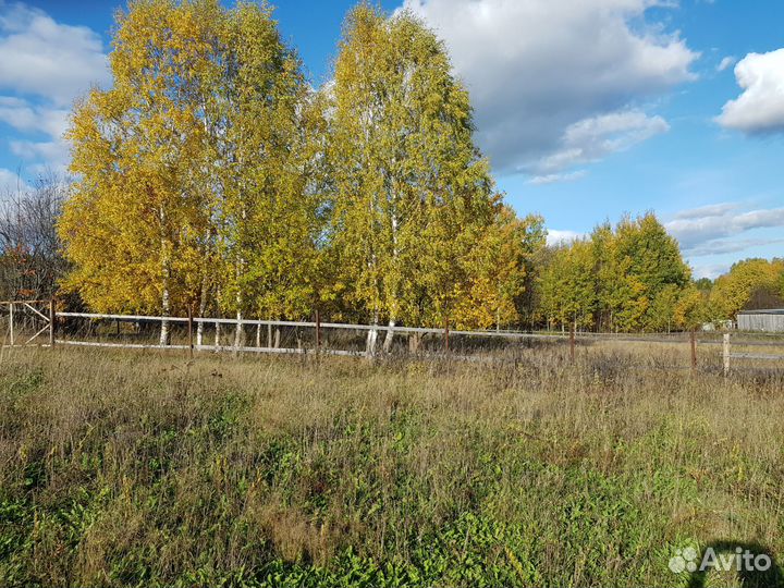 Ищю инвестора агробизнес