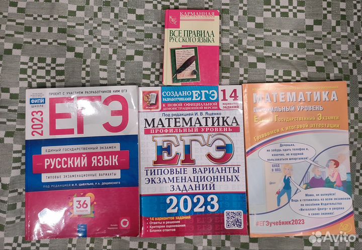 ЕГЭ математика и русский 23г